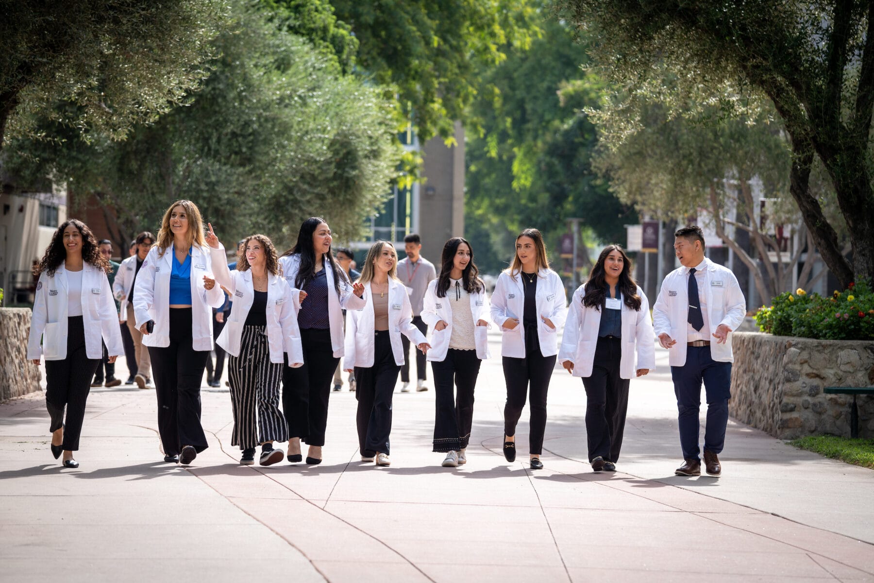 11 people walking down a sidewalk, smiling, talking