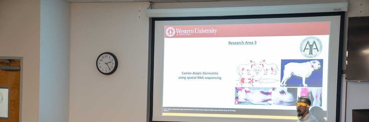 A presenter stands at the front of a classroom giving a lecture on canine atopic dermatitis with a research slide projected on the screen.