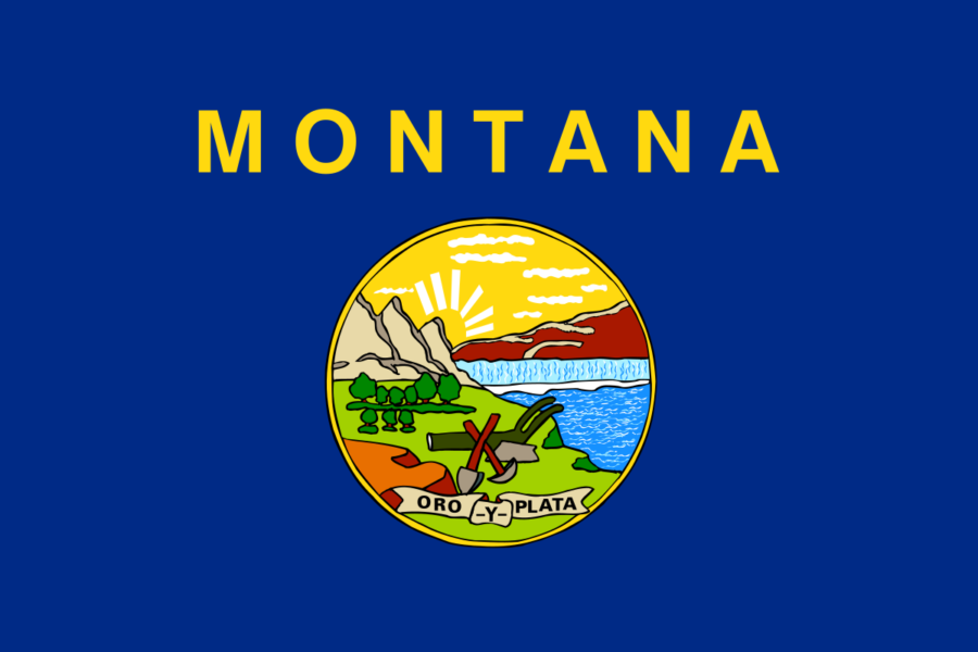 Montana state flag.