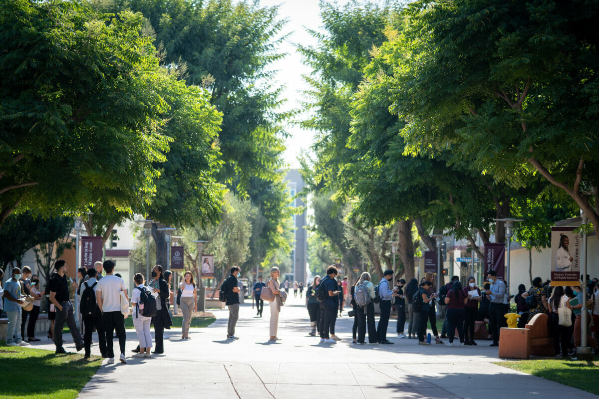 A group of people walking down a sidewalk.