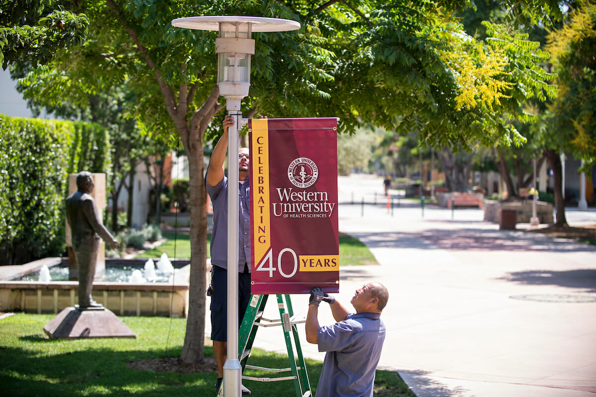 Two men working on a sign in front of a tree.