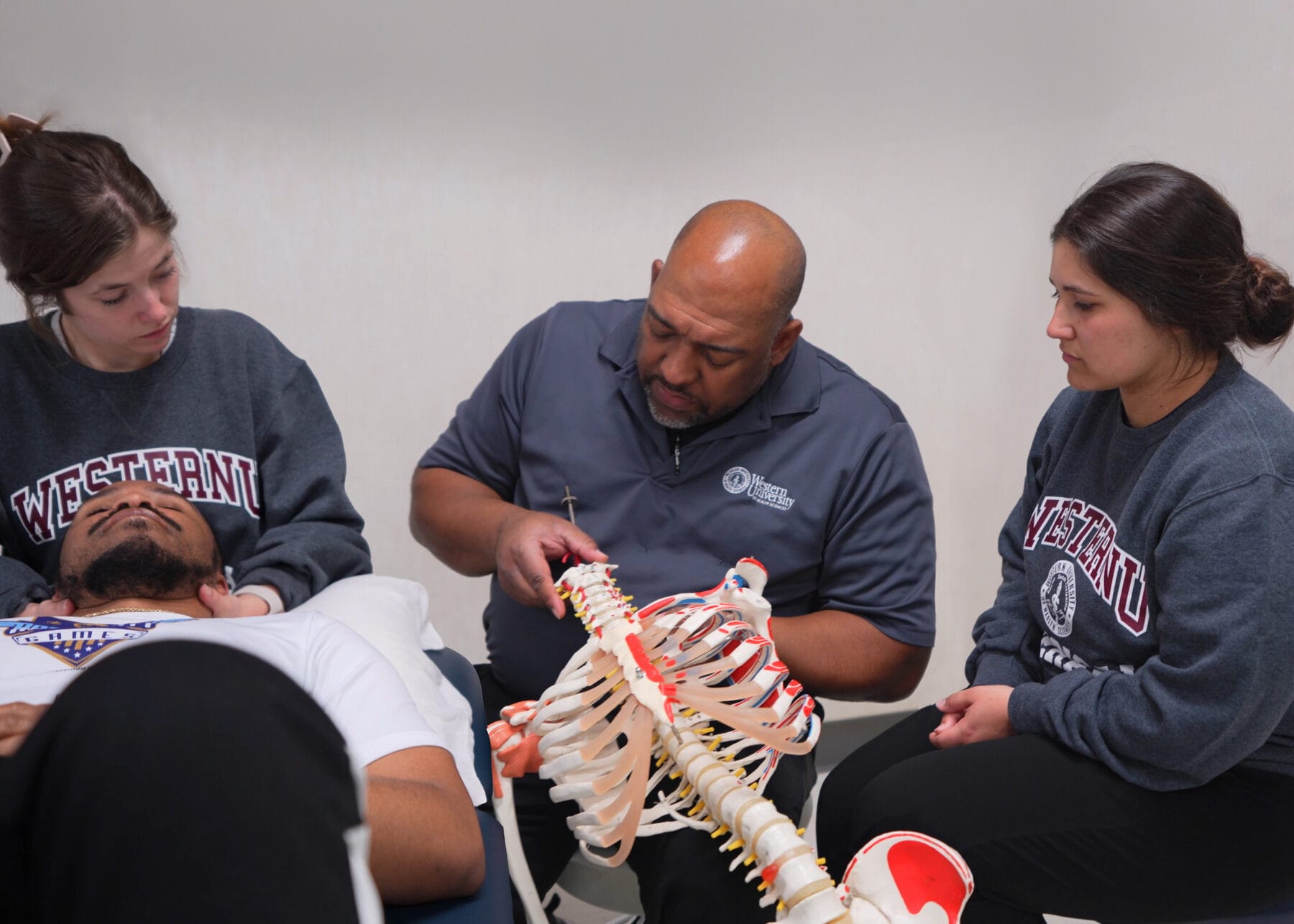 Instructor demonstrating spine anatomy with a model to three attentive students in a classroom setting.