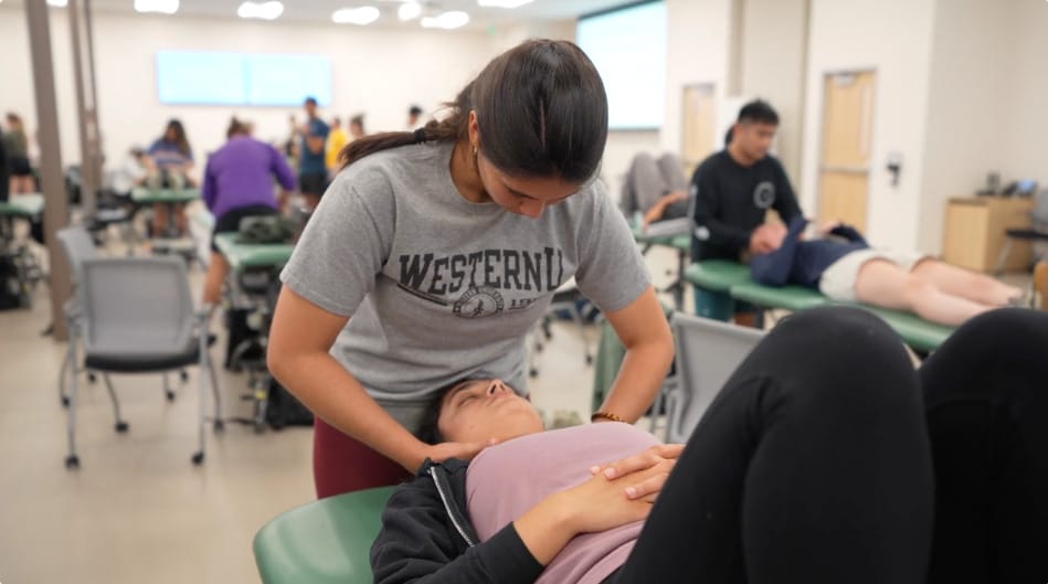A student in a grey "WesternU" t-shirt practices physical therapy techniques on another student lying on a table in a classroom setting.