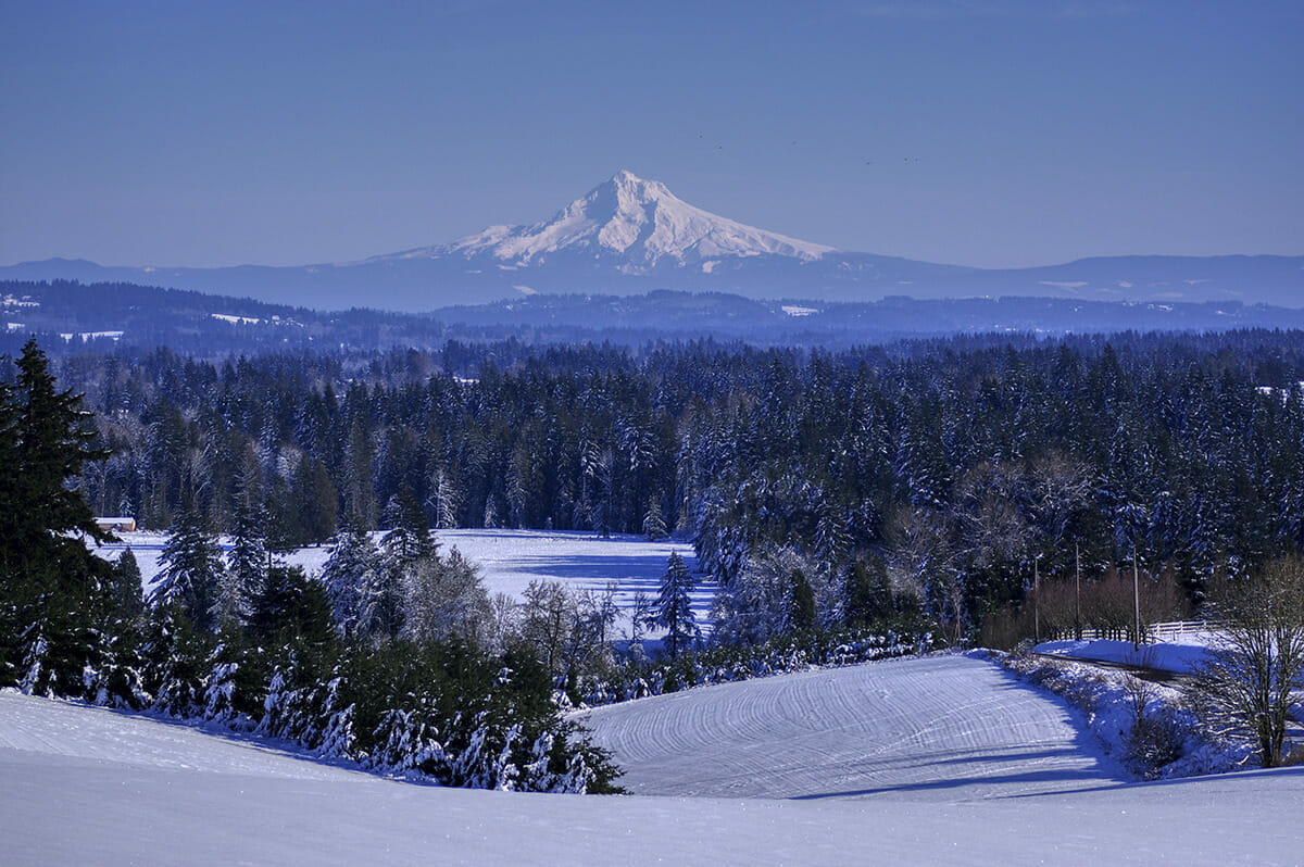 mt. hood