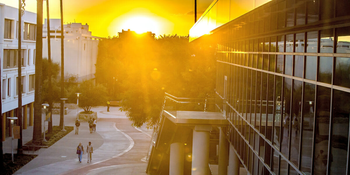 the sun sets along the Esplanade at WesternU framed by the HEC and the Daumier buildings.