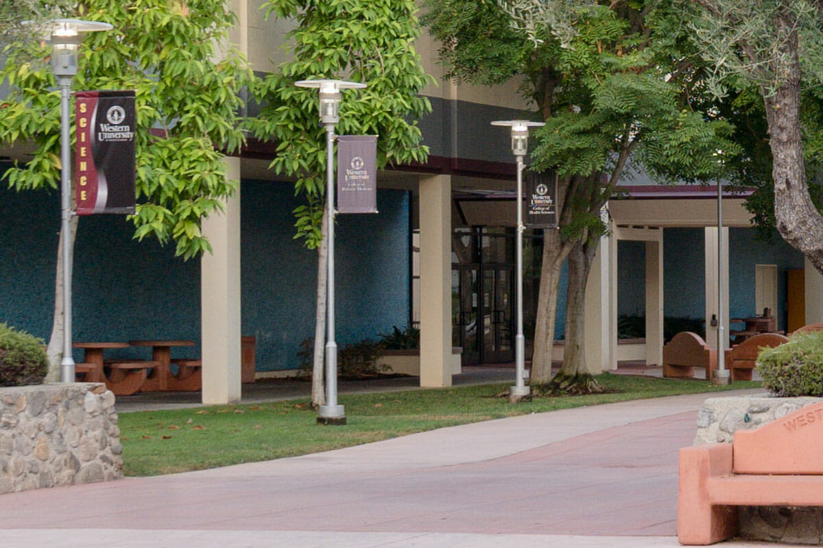 a bench on a sidewalk next to a building.