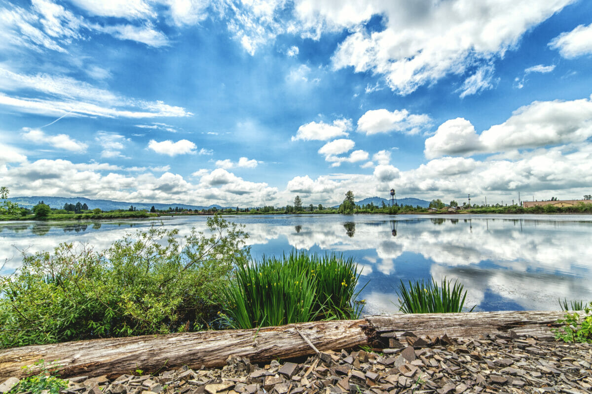 lake, trees