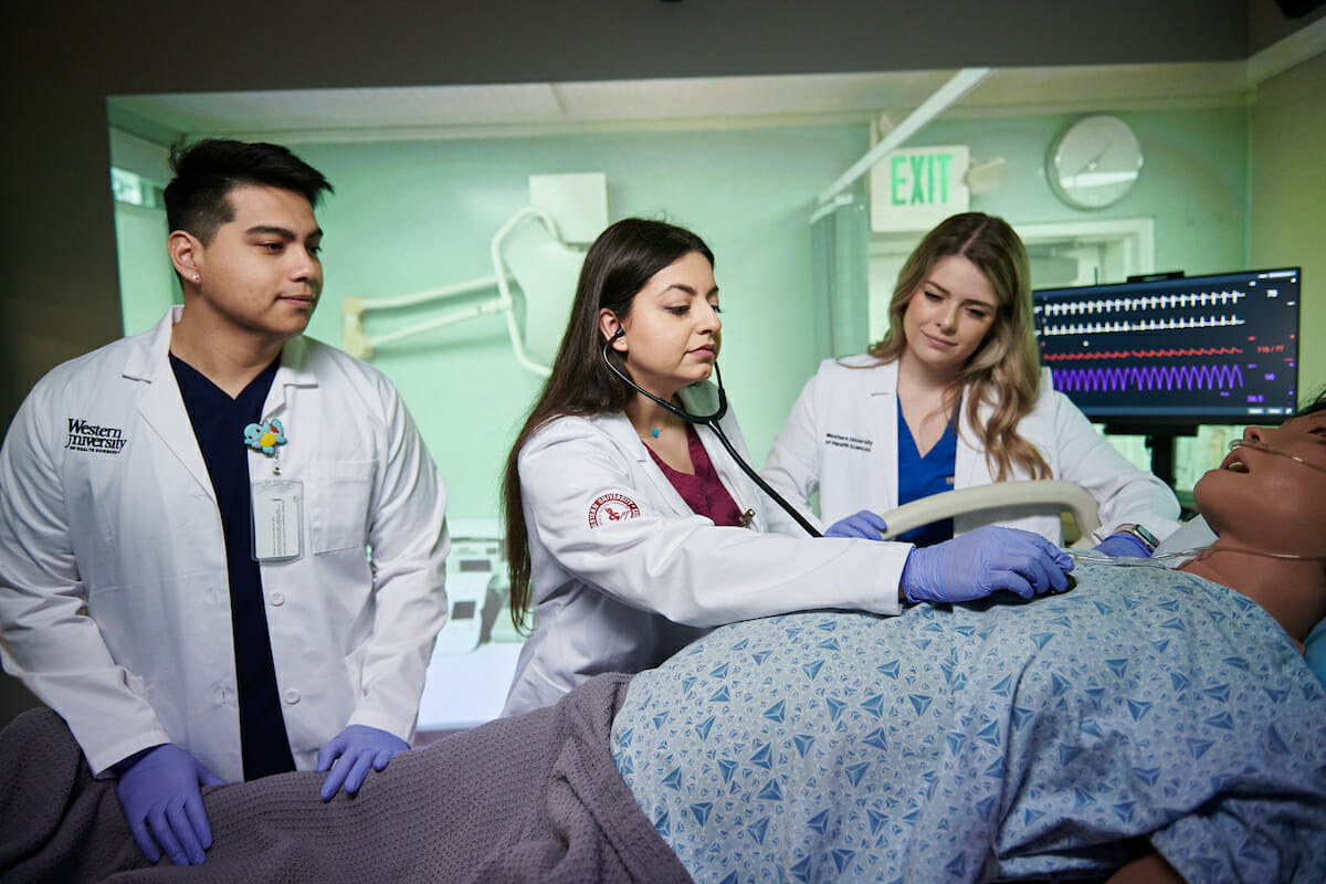 medical students, mannequin
