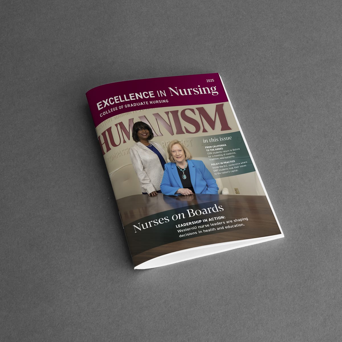 A magazine titled "Excellence in Nursing" featuring two women, one seated and one standing, with the headline "Nurses on Boards" and articles about leadership in health and education.