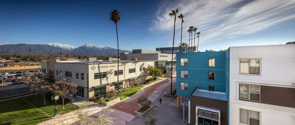 Exterior photo of veterinary clinic in Pomona