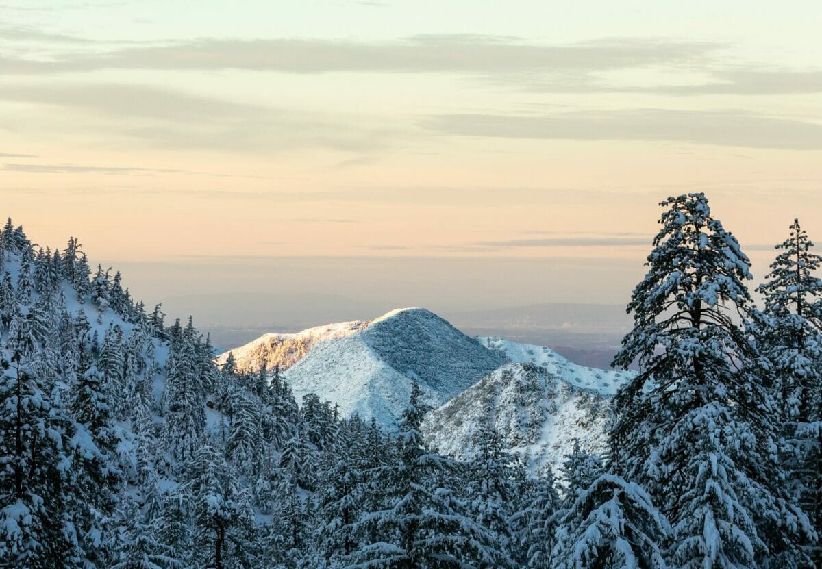 Mt Baldy