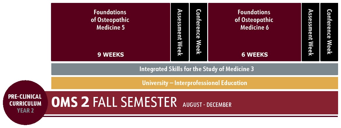OMS 2 fall semester schedule showing 9 weeks of Foundations of Osteopathic Medicine 5, followed by assessment and conference weeks, then 6 weeks of Foundations of Osteopathic Medicine 6.