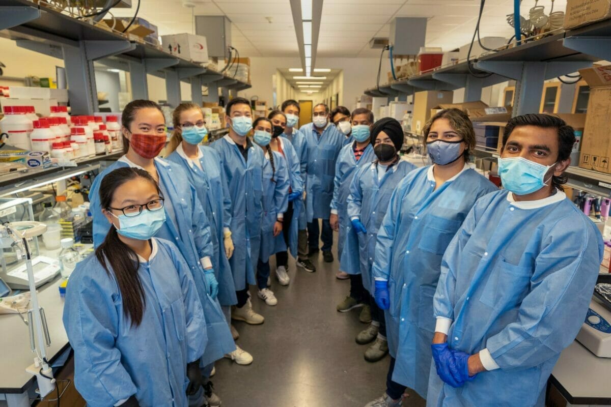 students lined up in masks, gowns and gloves