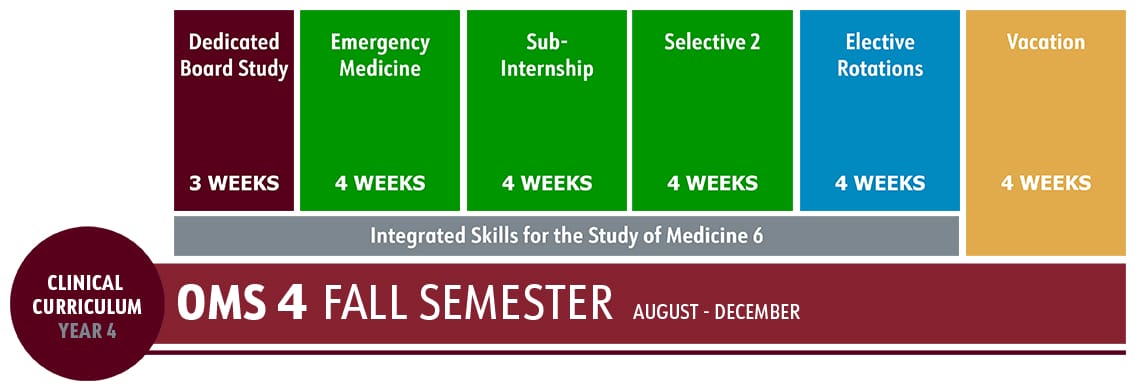 Schedule graphic for OMS 4 Fall Semester showing 3 weeks of board study, 4-week rotations in emergency medicine, sub-internship, selective, electives, and 4 weeks of vacation, August–December.