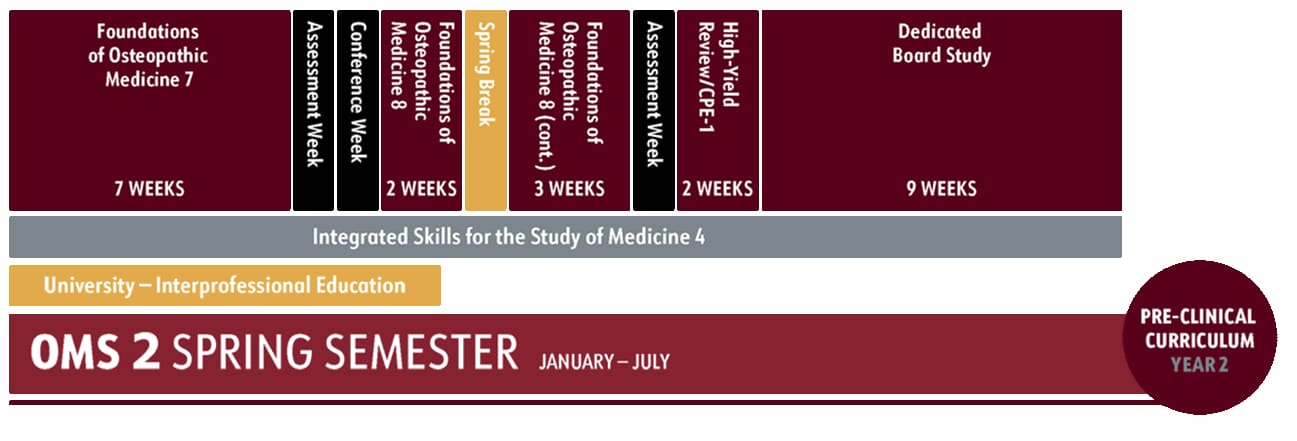 A timeline chart shows the OMS 2 Spring Semester curriculum, detailing various medical courses and assessment weeks from January to July, ending with a 9-week dedicated board study period.