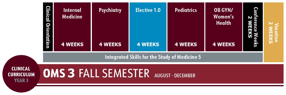 Curriculum schedule for OMS 3 Fall Semester showing 4-week rotations in Internal Medicine, Psychiatry, Elective, Pediatrics, OB GYN, plus conference and vacation weeks from August to December.