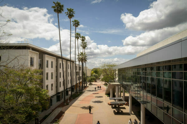 a view of a campus with palm trees and buildings.