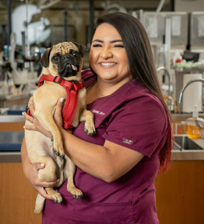 RVT Crystal Villa holding her pet dog in the PHC with medical equipment in the background.