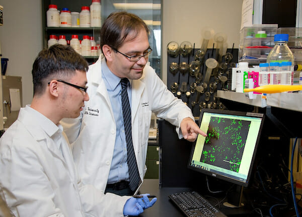 Pharmaceutical Sciences Associate Professor David Sanchez, PhD, with MSPS student Buyuan He.