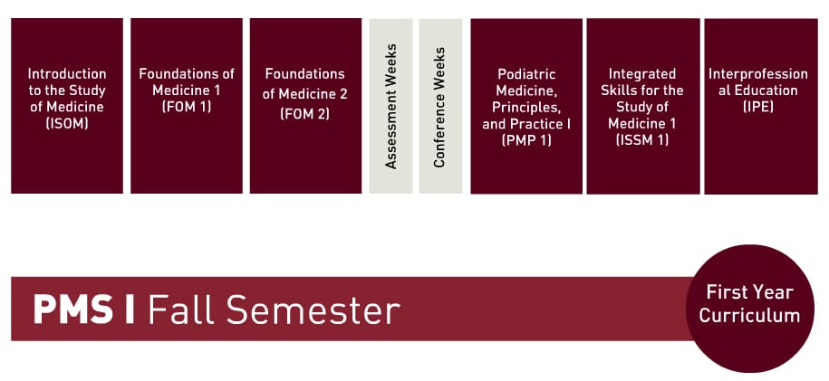 A graphic showing the PMS I Fall Semester first-year curriculum, listing seven modules separated by assessment and conference weeks.