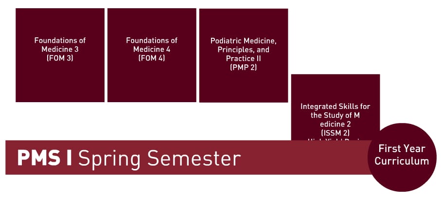 A flowchart showing four first-year curriculum courses: Foundations of Medicine 3, Foundations of Medicine 4, Podiatric Medicine Principles II, and Integrated Skills for the Study of Medicine 2.