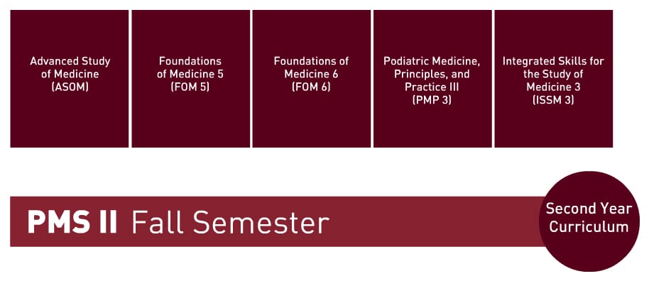 Curriculum chart for PMS II Fall Semester listing five courses: ASOM, FOM 5, FOM 6, PMP 3, and ISSM 3, labeled as Second Year Curriculum.