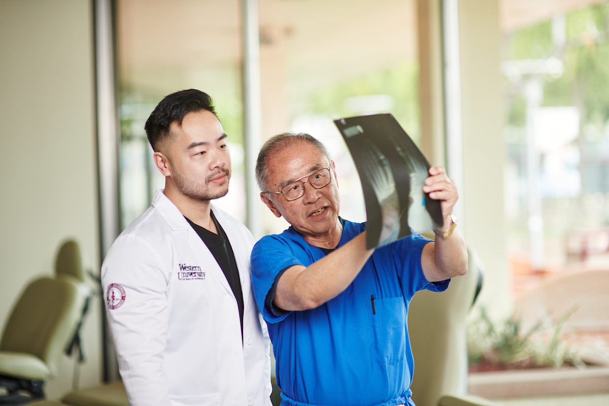 two people looking at x-ray