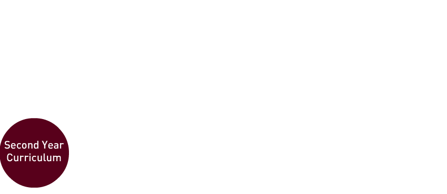 A flowchart showing four connected circles labeled "Second Year Curriculum," "Pre-Clerkship Blocks," "Doctoring 2," and "Transition to Clerkships.