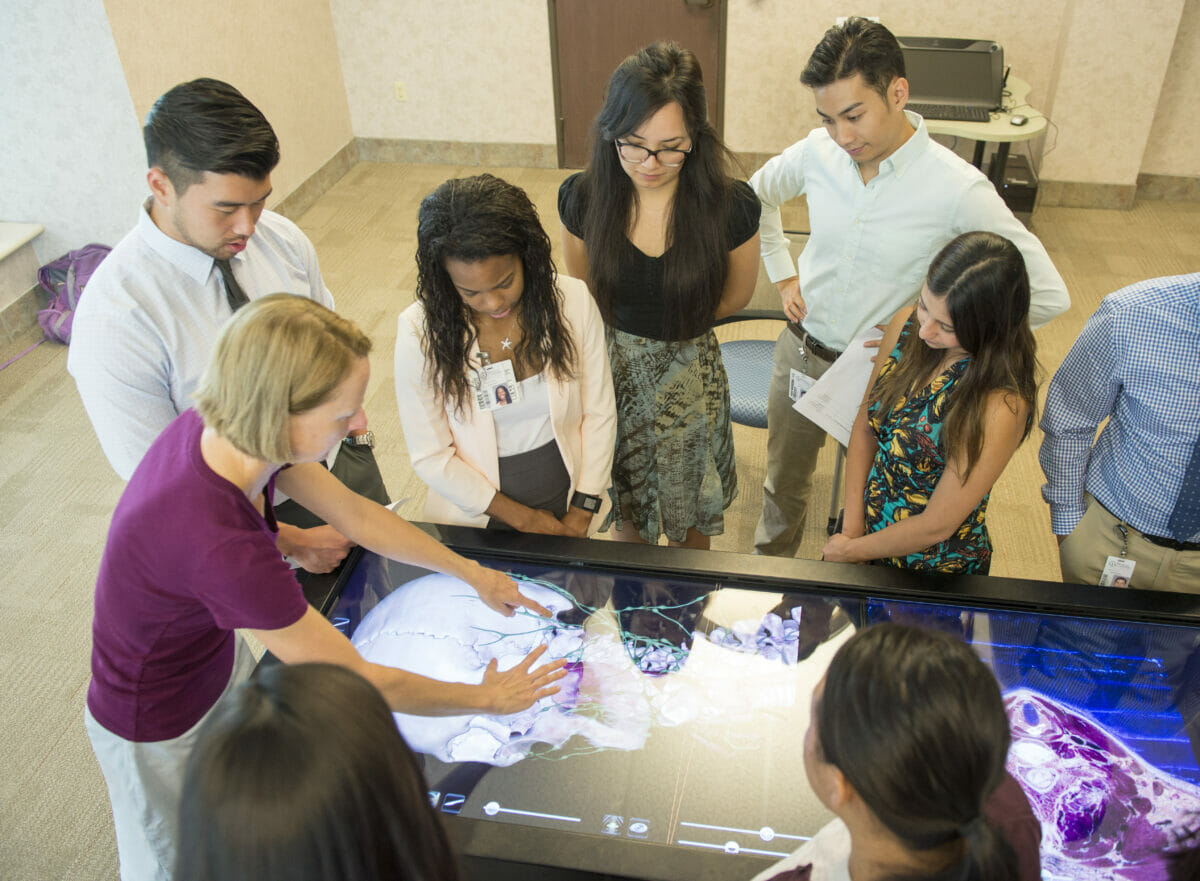 Image of students with instructor using the Virtual Dissection Table.