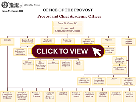 Organizational chart for the Office of the Provost at Western University, showing administrative divisions and reporting structure under the Provost and Chief Academic Officer.