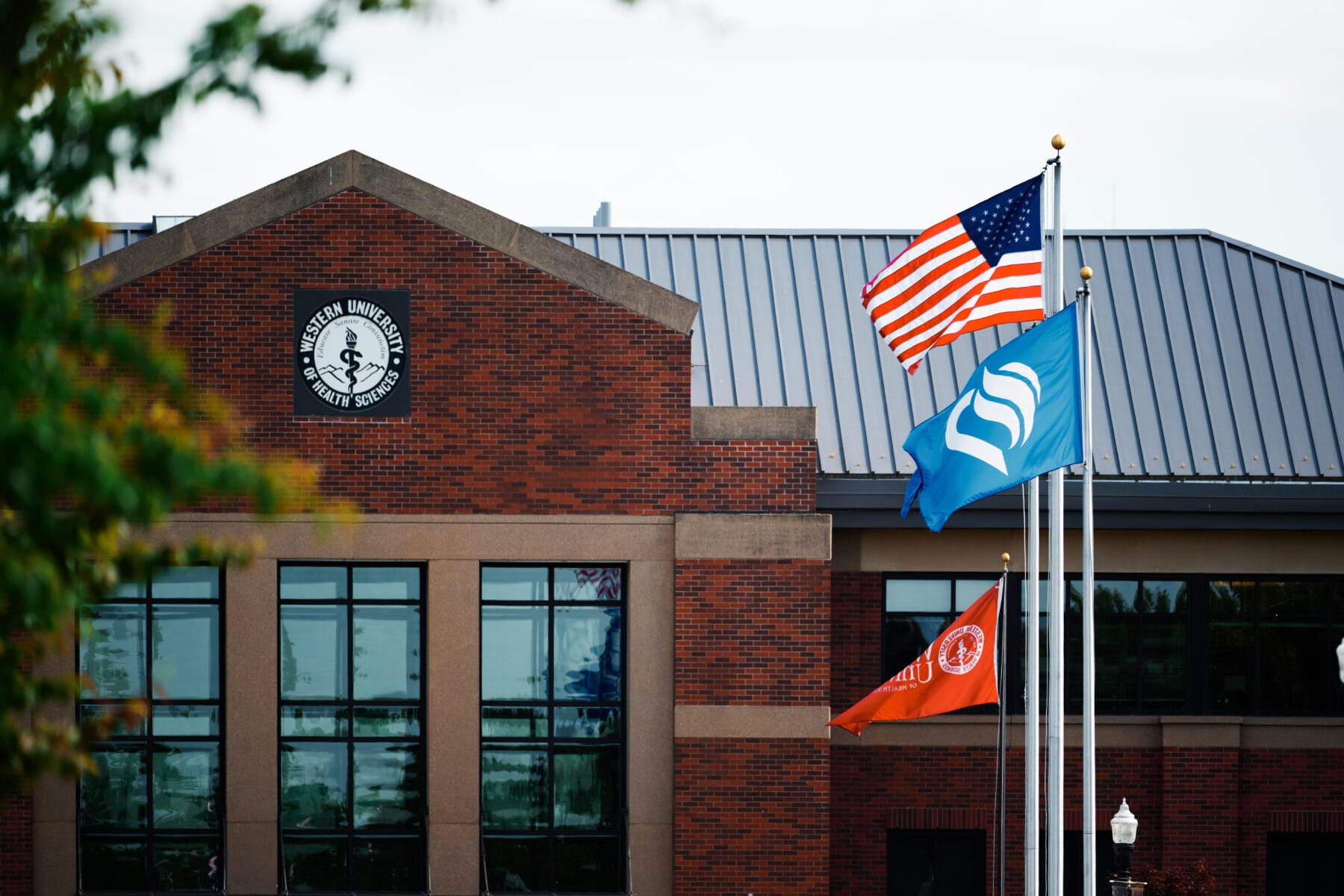 Three flags, including the U.S. flag, fly in front of a brick building labeled "Northeastern University Health Sciences" on a clear day.