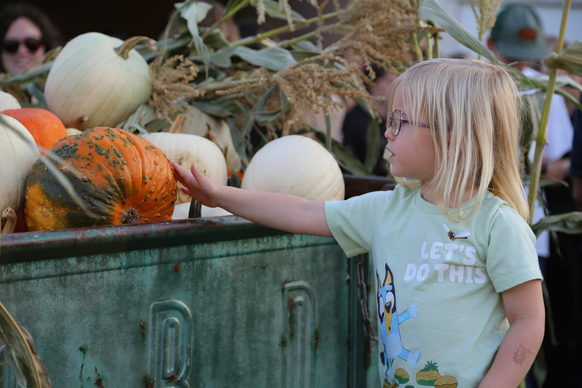 Image of a child looking at pumpkins at the Fall 2022 Festival on the Oregon campus