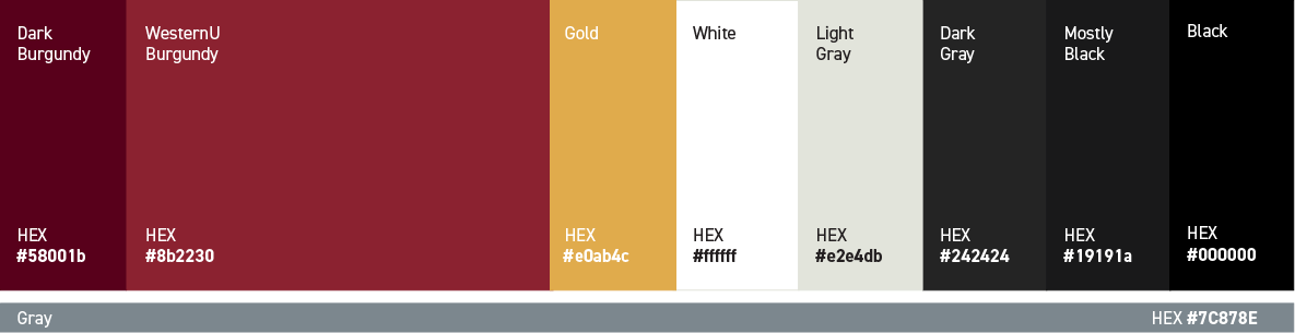 Website Digital Color Palette