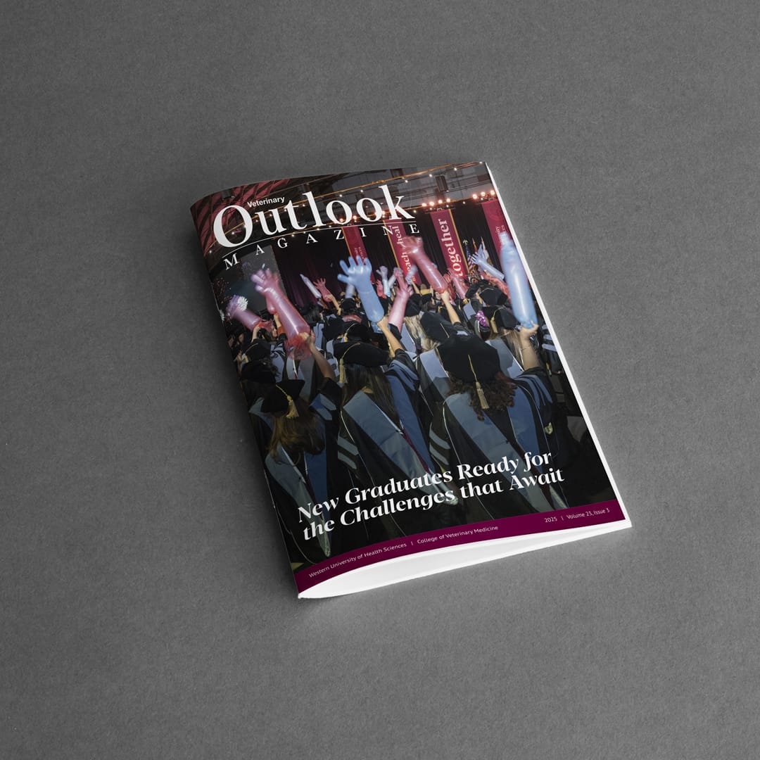 A magazine titled "Outlook Magazine" featuring graduates in caps and gowns on the cover with the headline "New Graduates Ready for the Challenges that Await.