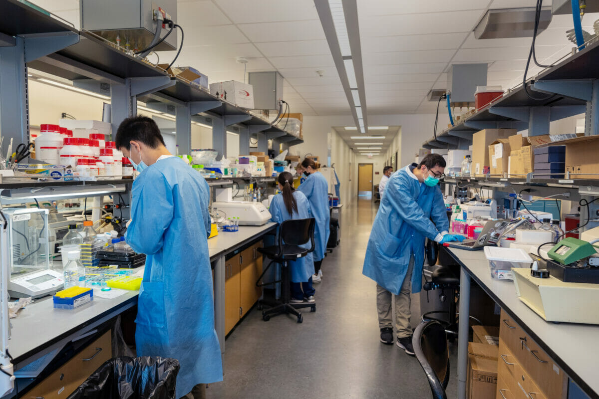 Four students working in laboratory