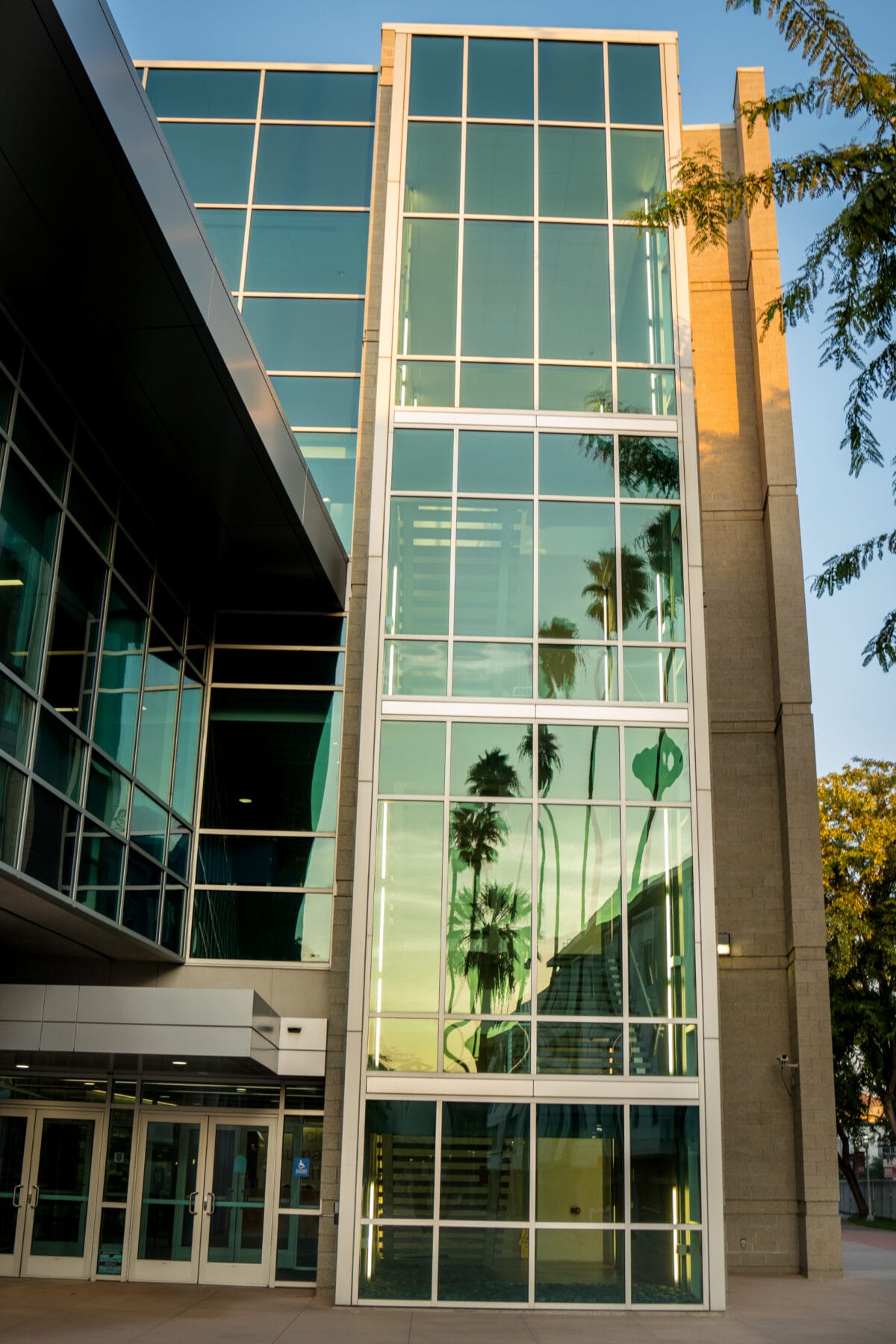 A modern building exterior with large glass windows reflecting palm trees and the sky, photographed at sunset.