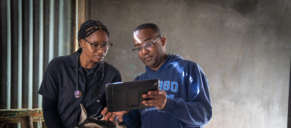 Two people looking at a tablet with a goat.