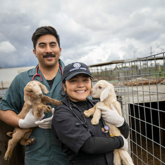 A man and woman holding lambs.