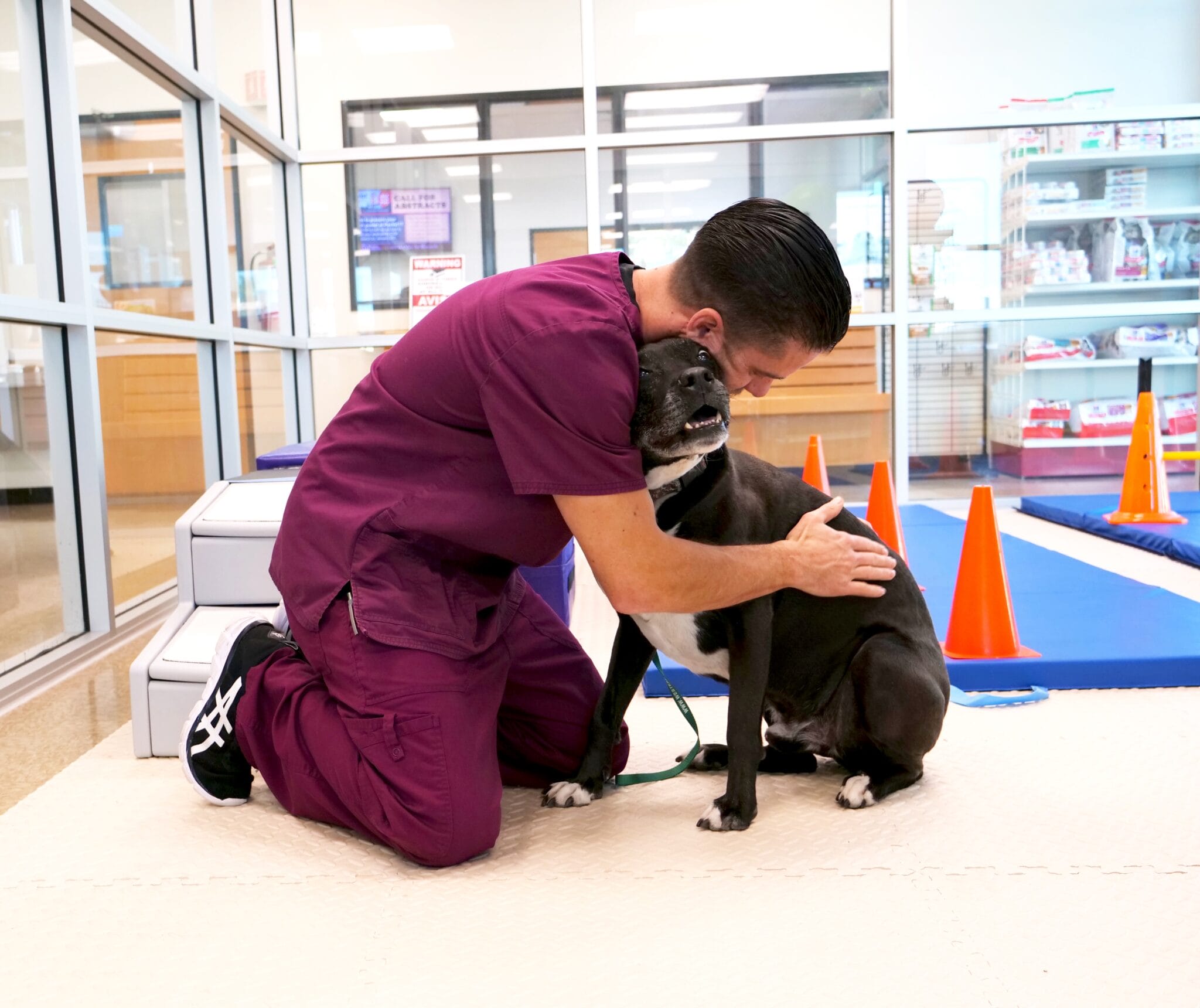 A person in maroon scrubs kneels on a mat, hugging a black dog in an indoor facility with glass walls and orange cones.