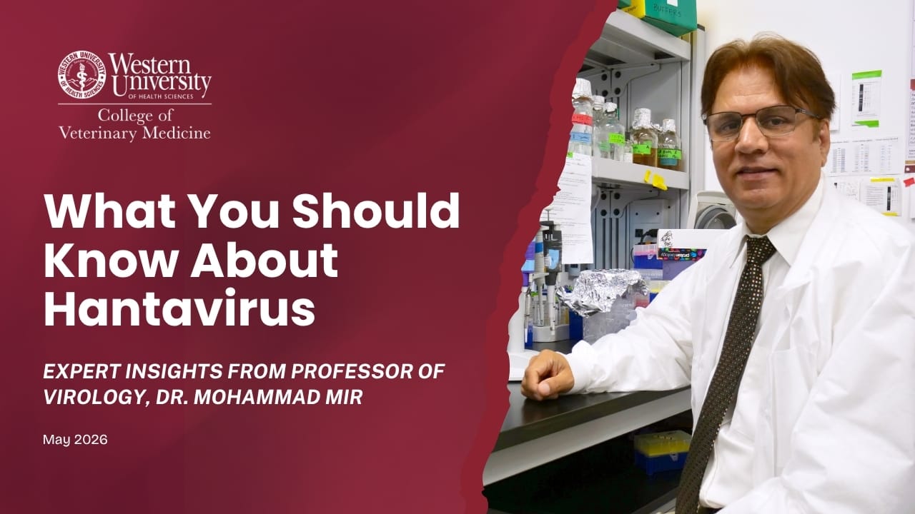 WesternU CVM faculty researcher Dr. Mohammad Mir in a lab coat and tie sitting at a laboratory bench; text on the image reads "What You Should Know About Hantavirus" with university and professor details.