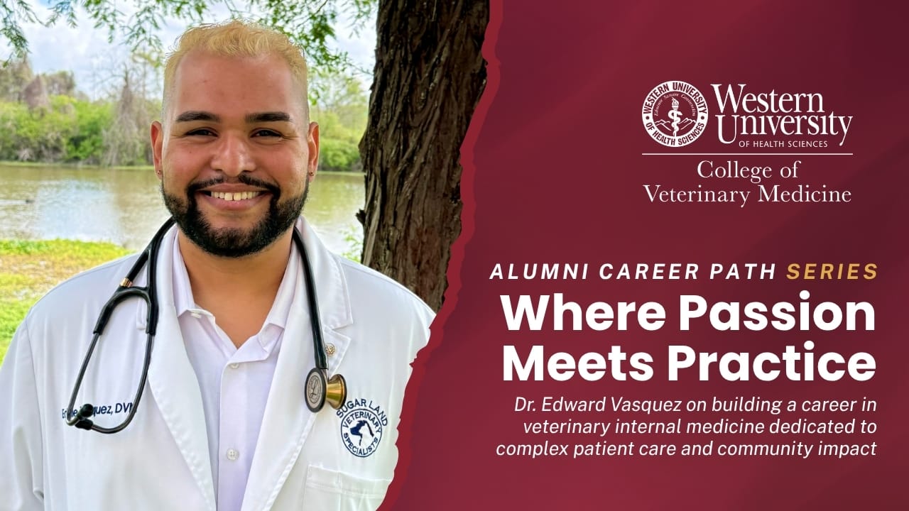WesternU CVM Alumnus Edward Vasquez in a white coat with a stethoscope around his neck stands outdoors; text promotes a veterinary medicine alumni career path series at Western University of Health Sciences.