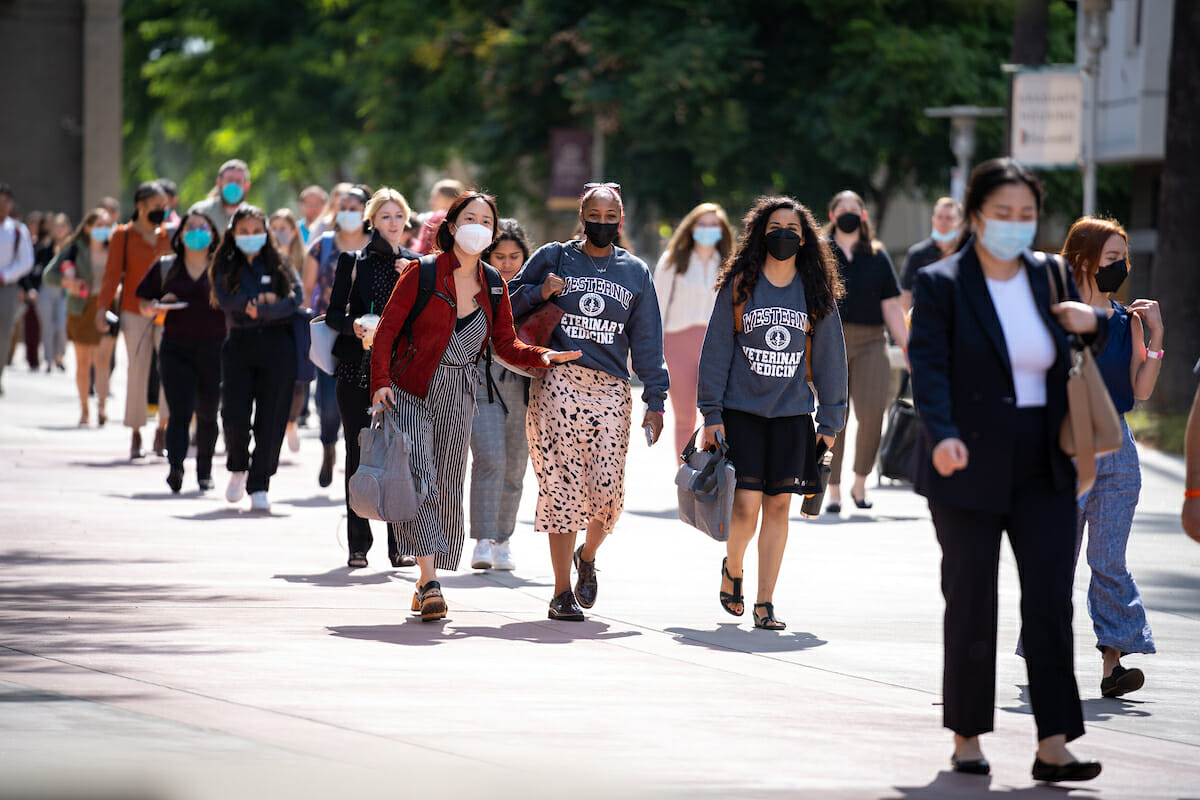 New CVM students walk the Esplanade.