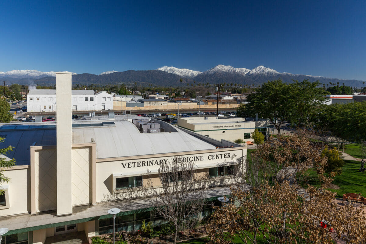 WesternU CVM campus