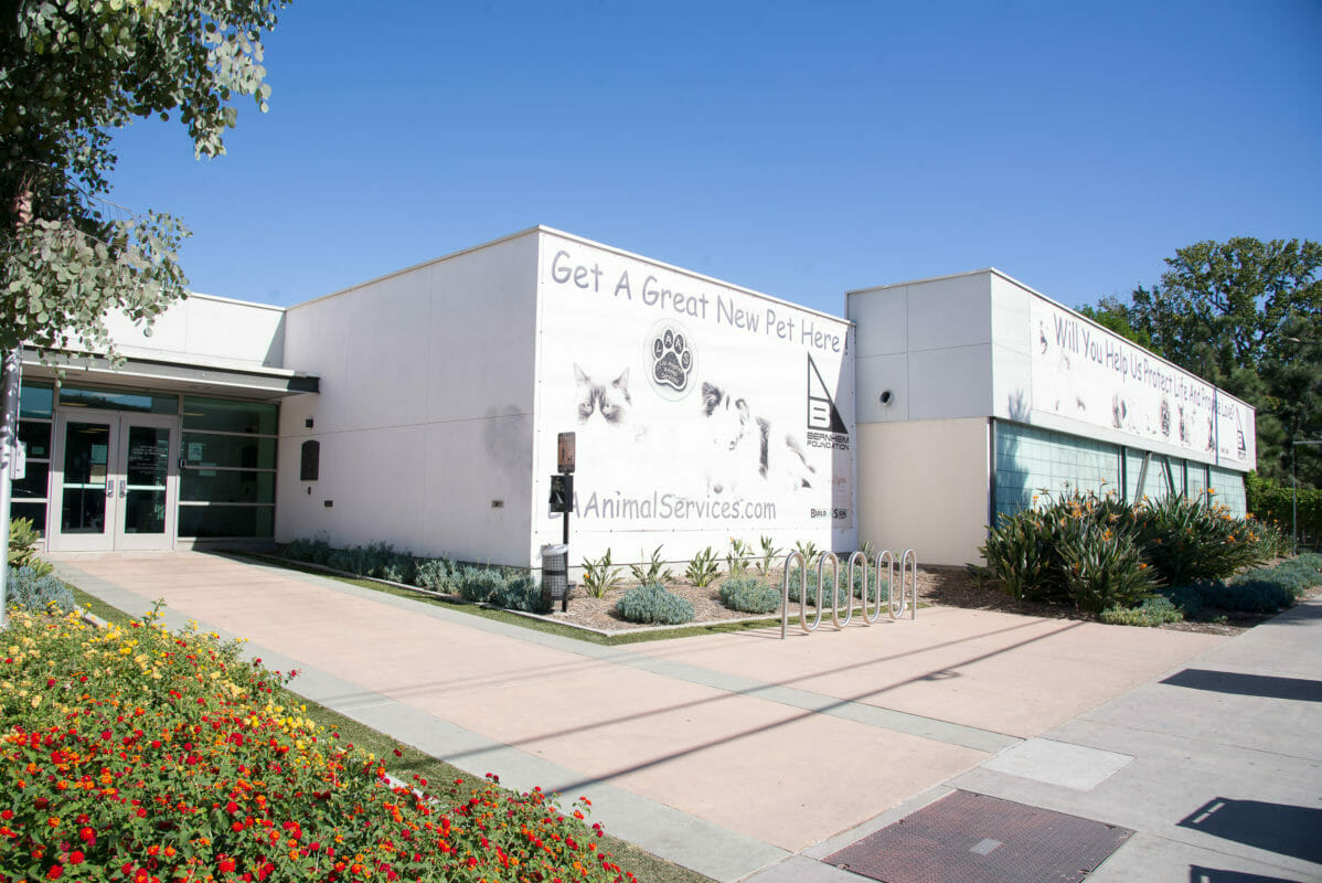 Spray/Neuter Center in the East Valley