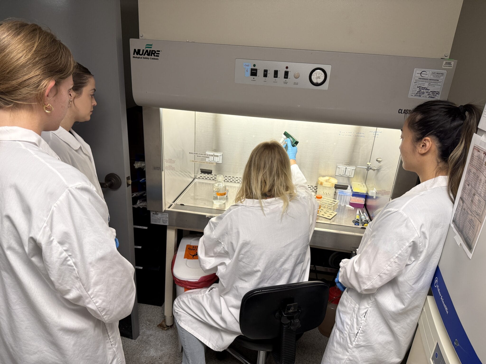 Four CVM students in lab coats observe as CVM faculty member Yvonne Drechsler uses a pipette inside a biosafety cabinet in a laboratory setting.