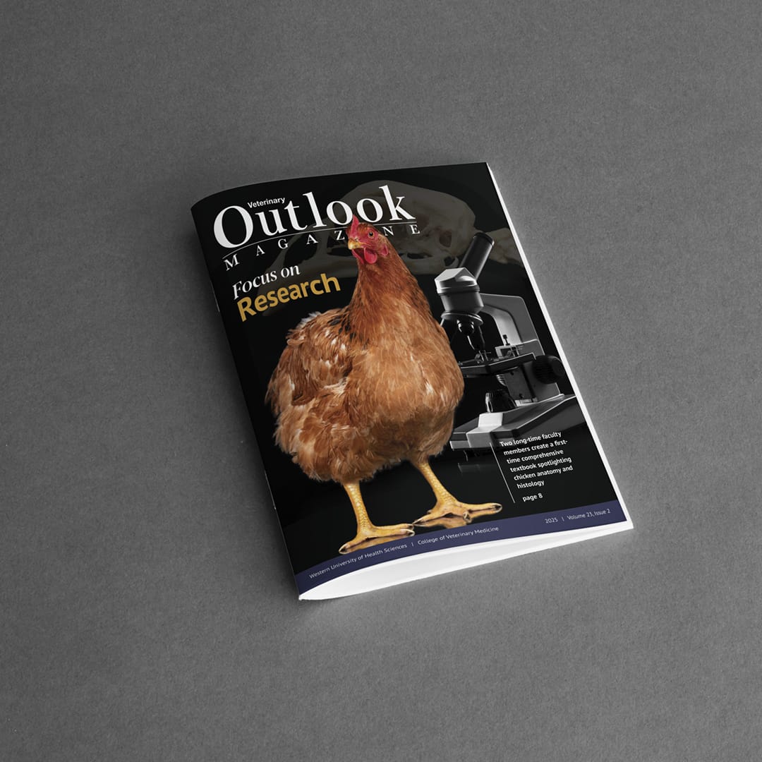 A magazine titled "Outlook Magazine" with a cover image of a chicken, a microscope, and the headline "focus on Research".