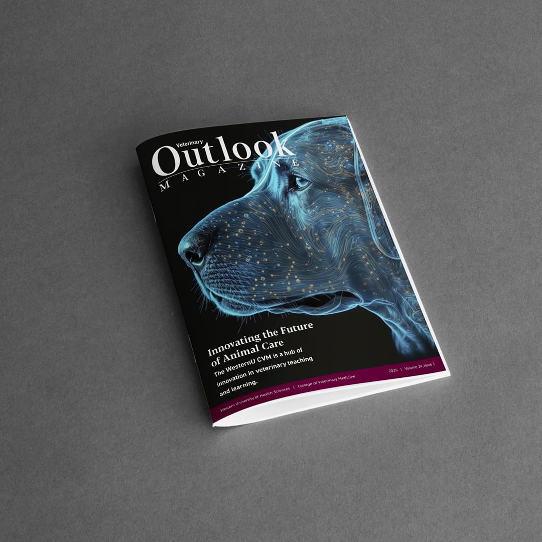 A magazine titled "Outlook Magazine" featuring a digitally illustrated blue dog with glowing lines on the cover, lying on a gray surface.