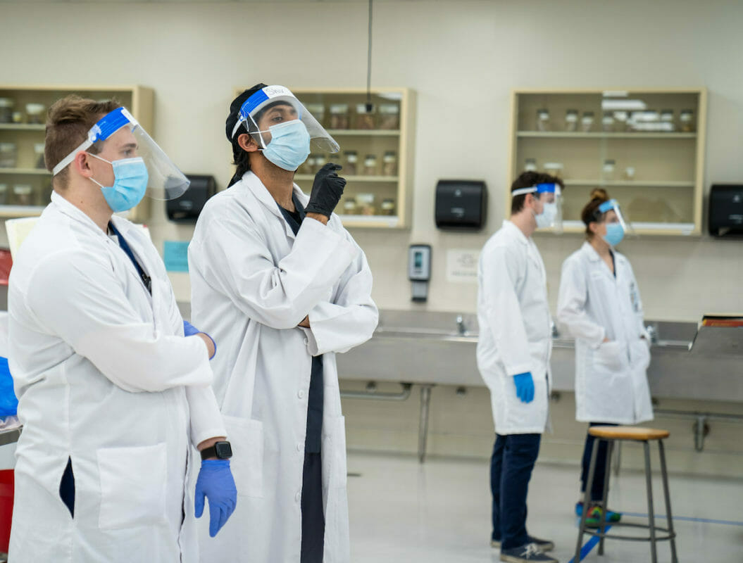 students are working in lab during the covid